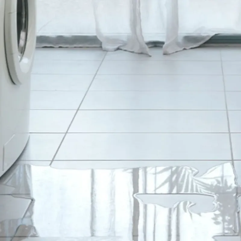 Appliance Leak Cleanup in Carrollton, MI