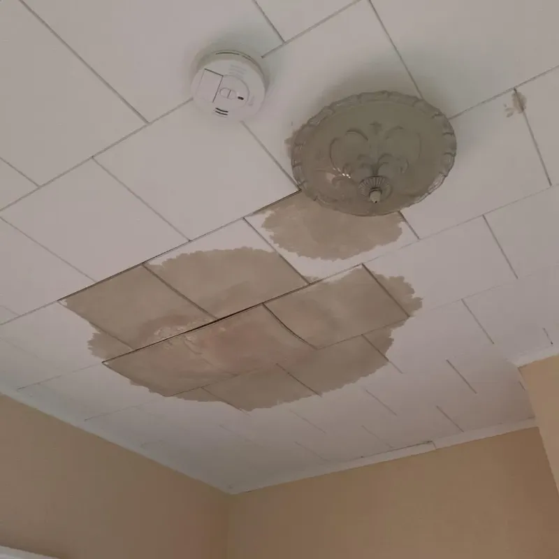 Ceiling Water Damage Repair in Carrollton, MI