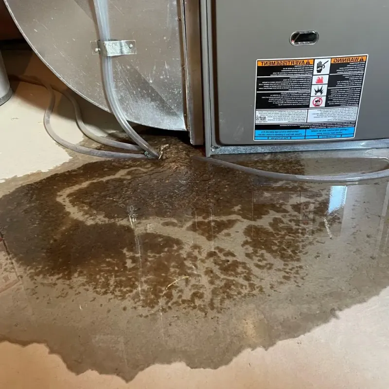 Pipe Burst and Leak Restoration in Carrollton, MI
