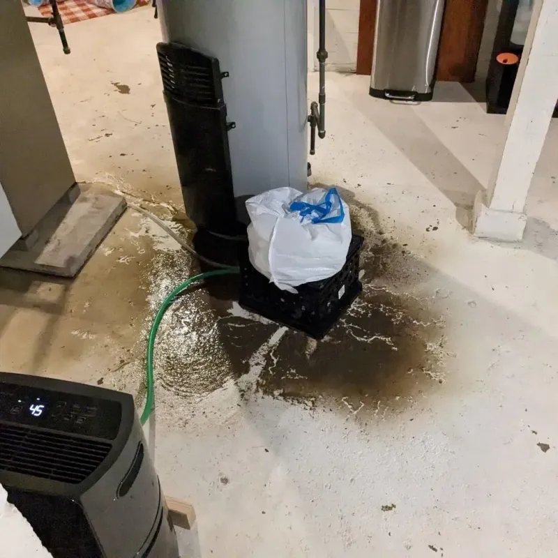 Sewage Backup Cleanup Service in Carrollton, MI